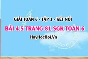 Giải bài 4.5 trang 81 Toán 6 Tập 1 SGK Kết nối tri thức